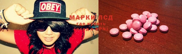 сатива Беломорск