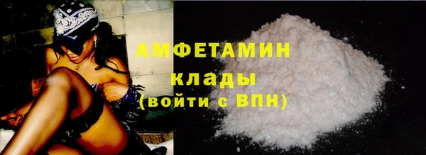 крисы Богородицк