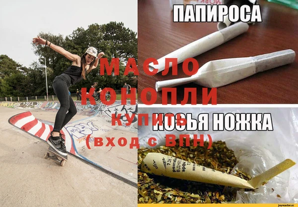 сатива Беломорск