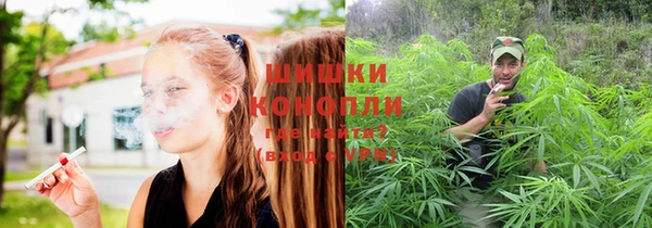 герыч Бородино