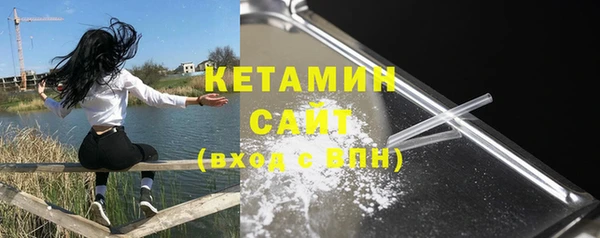 гидра Богородск