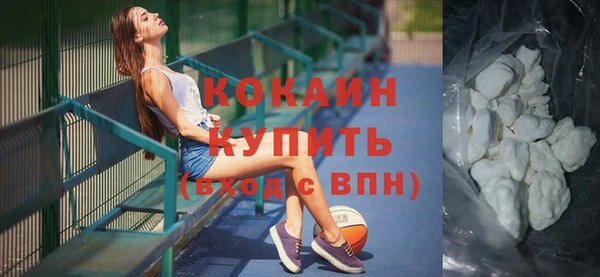 гидра Богданович